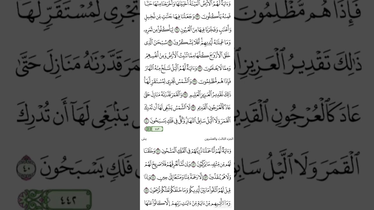 سورة يس بصوت القارئ الشيخ وليد ابراهيم الفلوجي رحمه الله 