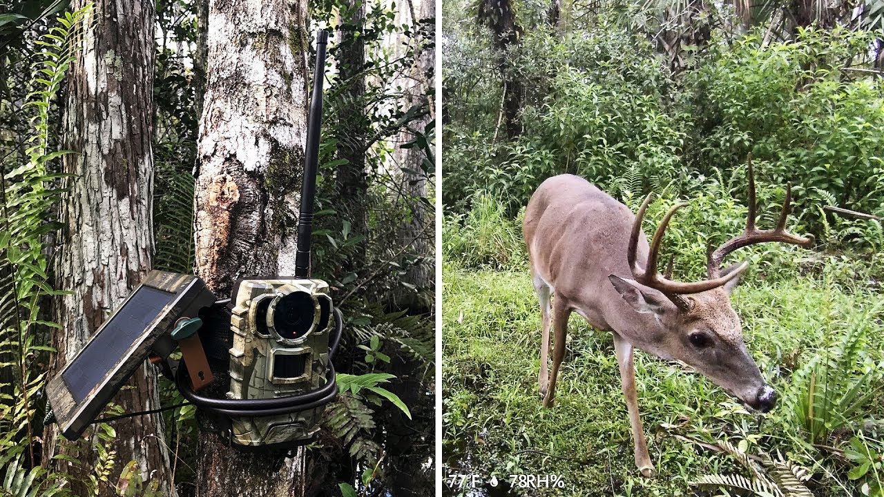 Owlzer Z1 4G Cellular Trail Camera
