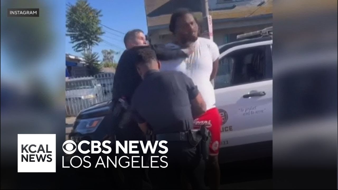 LAPD officer caught on video punching handcuffed man during traffic stop