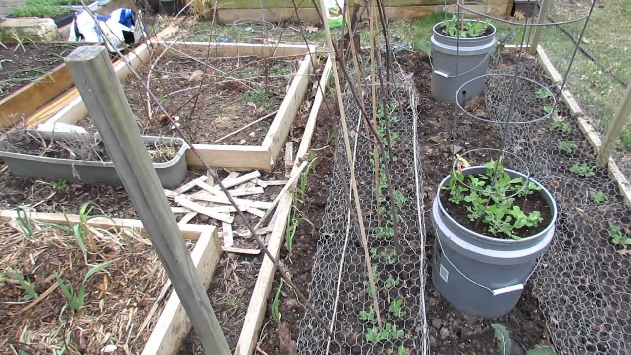 Early Treatment to Manage Snails and Slugs: Iron Phosphate Early! - MFG 2014