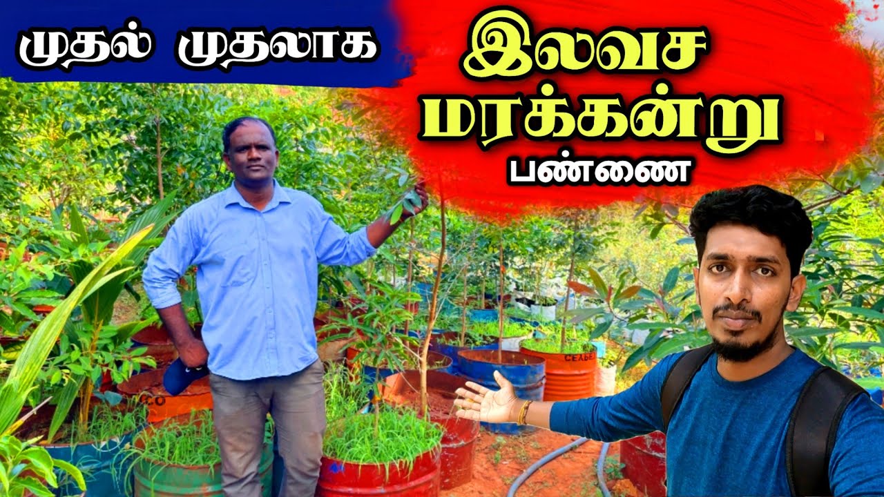 அனைத்து மரக் கன்றுகளும் இலவசம் 😮🌳 | மிகப் பெரிய இயற்கை பண்ணை 😍🇱🇰  All trees are Free🌴😊