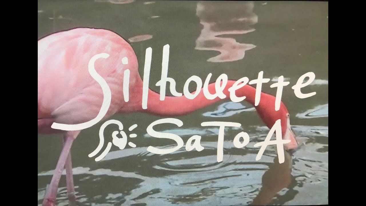 SaToA   silhouette  MV