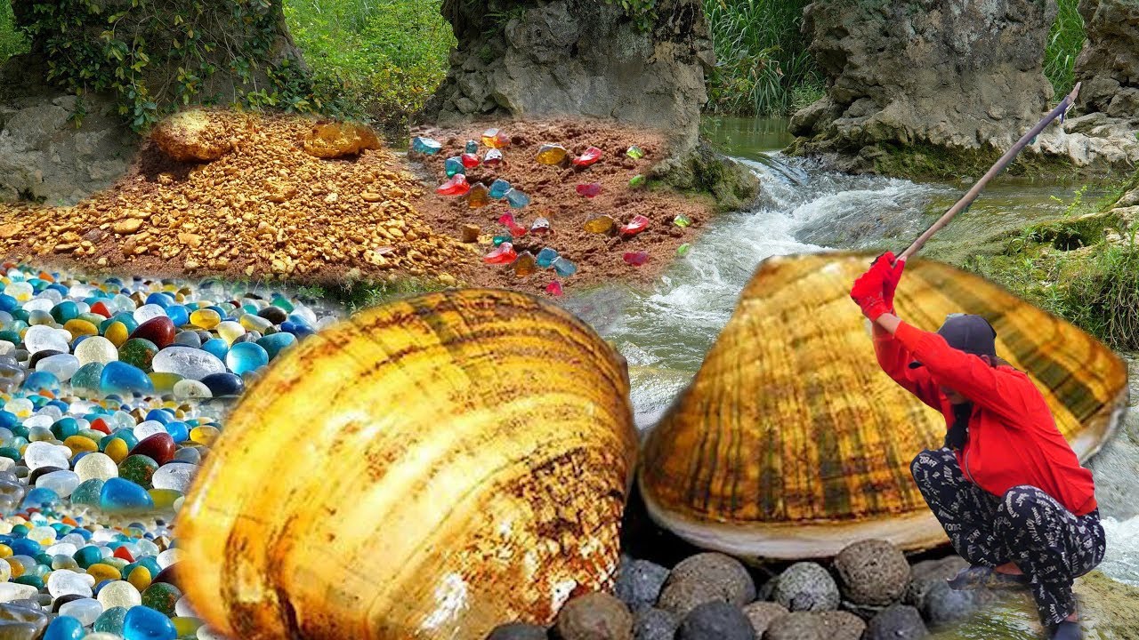 The Rural Teenager's Adventure: The Enigmatic Mutant Clam and the Extraordinary Pearl Within