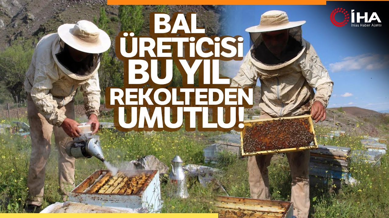 Çiçekler Açtı, Arılar Bal Mesaisine Başladı