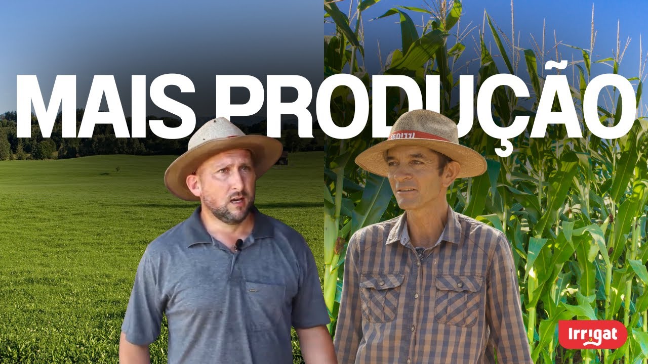 Como produtores aumentam suas safras de milho e pastagem com irrigação? | VEJA EXEMPLOS REAIS