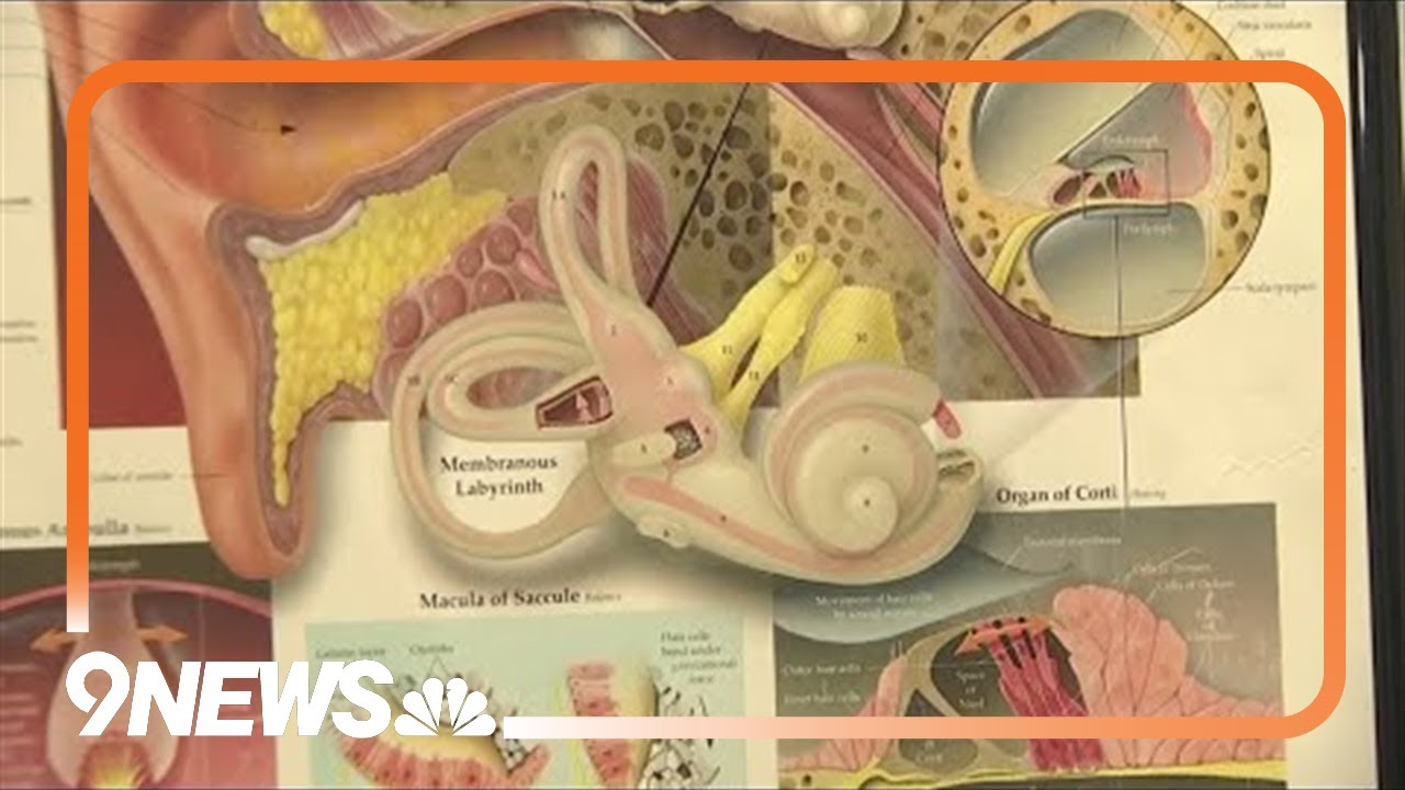 Impact of tinnitus on the ability to work