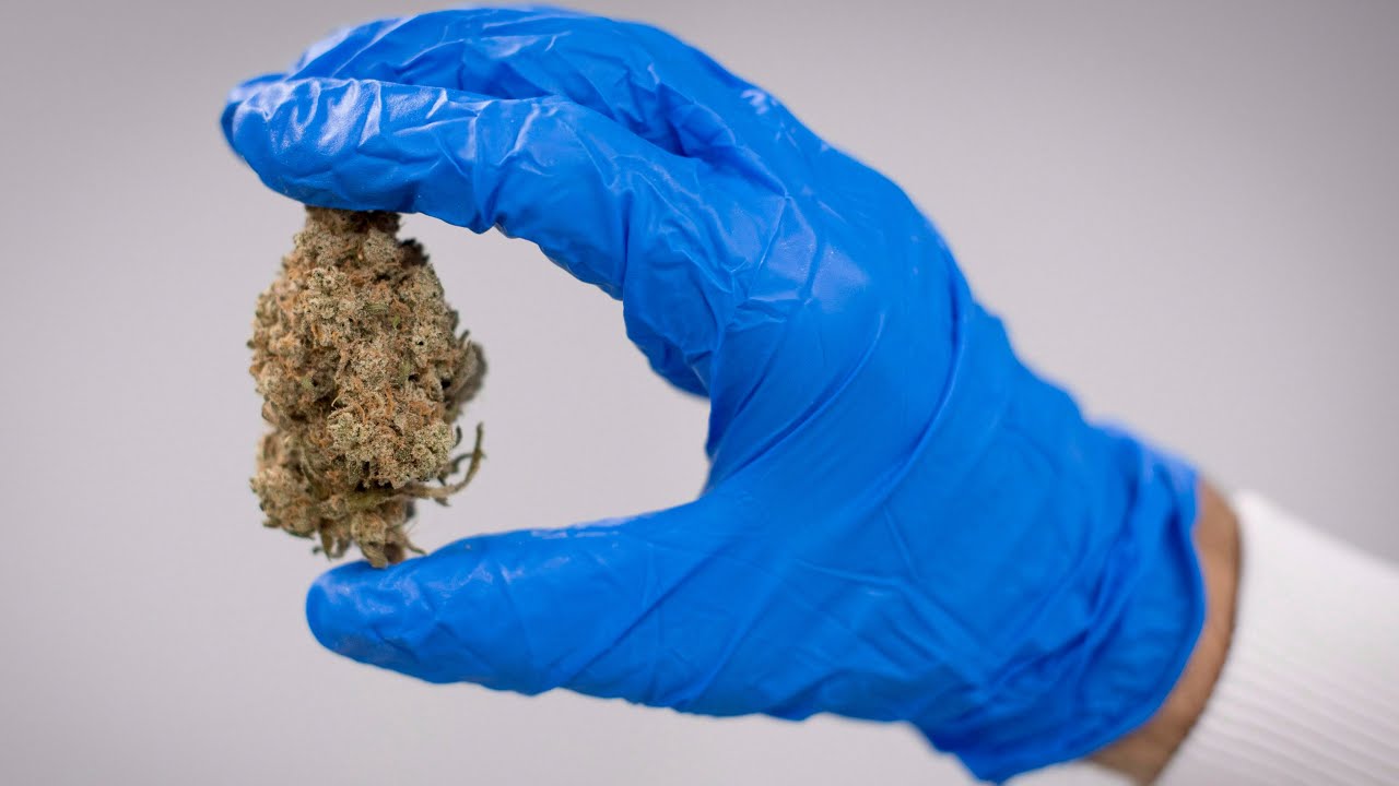 Pot shops could soon outnumber Tim Hortons locations in Ontario
