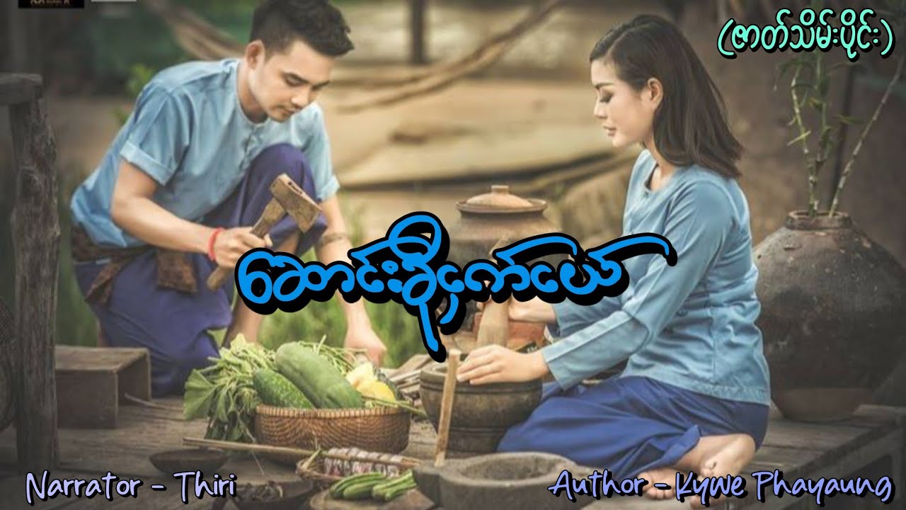 ဆောင်းခိုငှက်ငယ်(ဇာတ်သိမ်းပိုင်း) #tzaudiobook#romantic#love#drama 