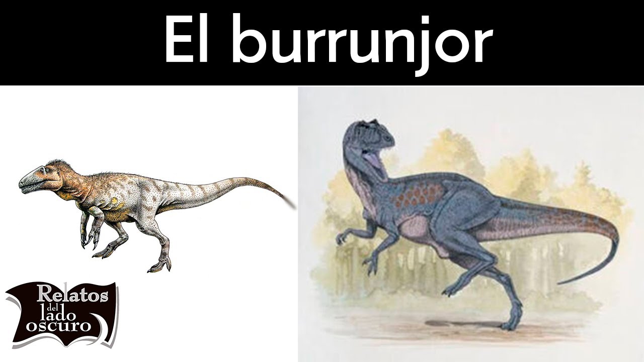 El burrunjor  | Relatos del lado oscuro