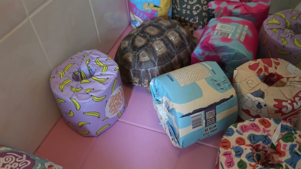 Weekvlog 19 Dieren en slecht nieuws gesprek