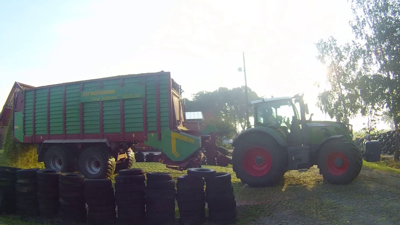 Mais schieben und walzen 2018 / Fendt Power