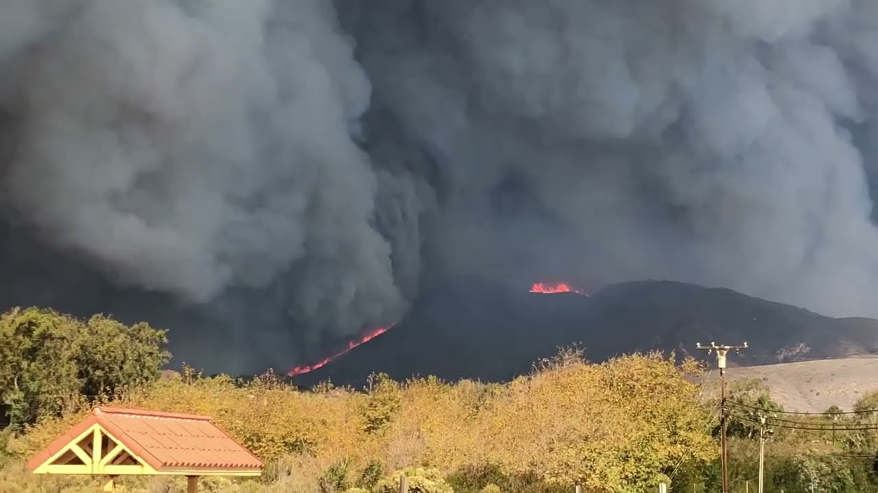 From Tijuana to The Golan Heights: Working in Dangerous Places