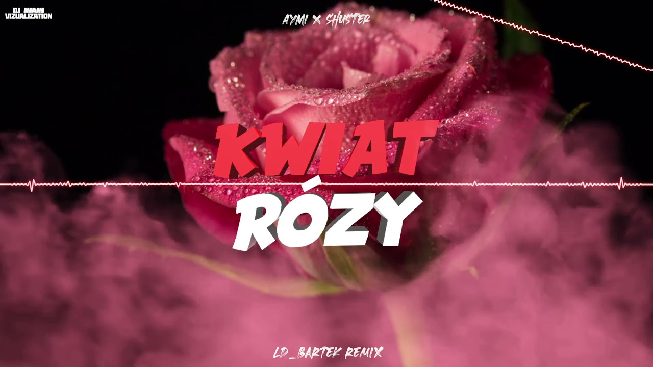 aymi x shuster - kwiat roży (LD_BARTEK REMIX)