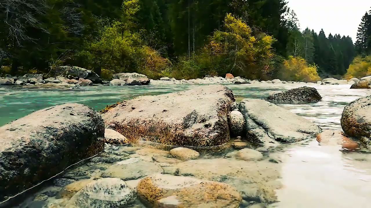 Nature Sound - River Flows and Bird Chipring - 1 Hour Long | Meditation/Study/Sleep