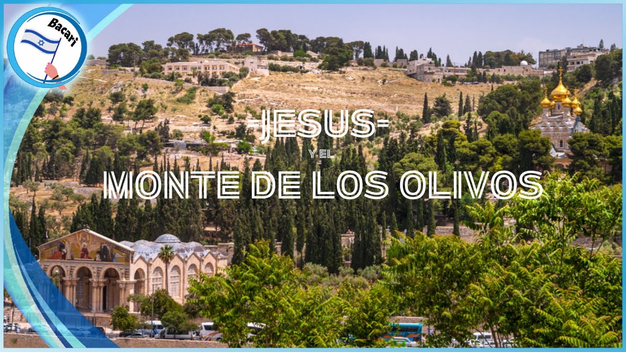El Monte de los Olivos en Israel : Donde Jesús oró y lloró