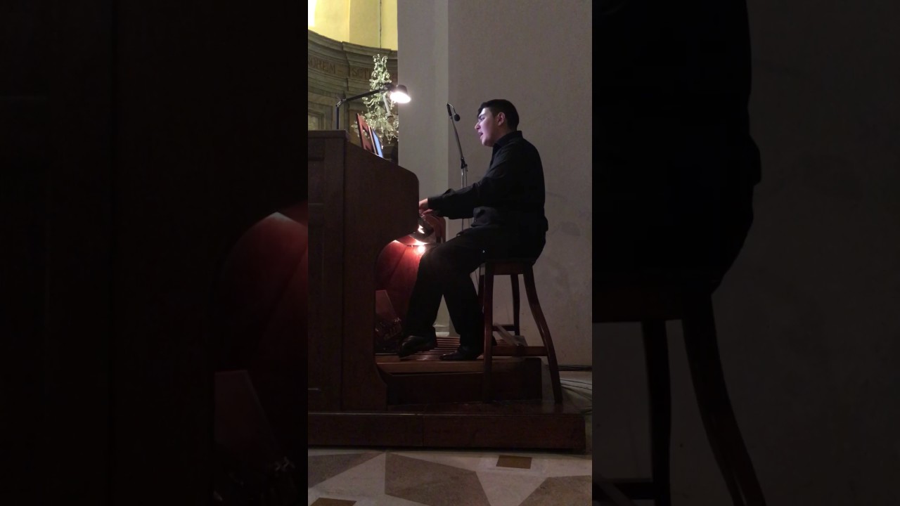 Ave Maria - F. Shubert - Alessio Romualdi