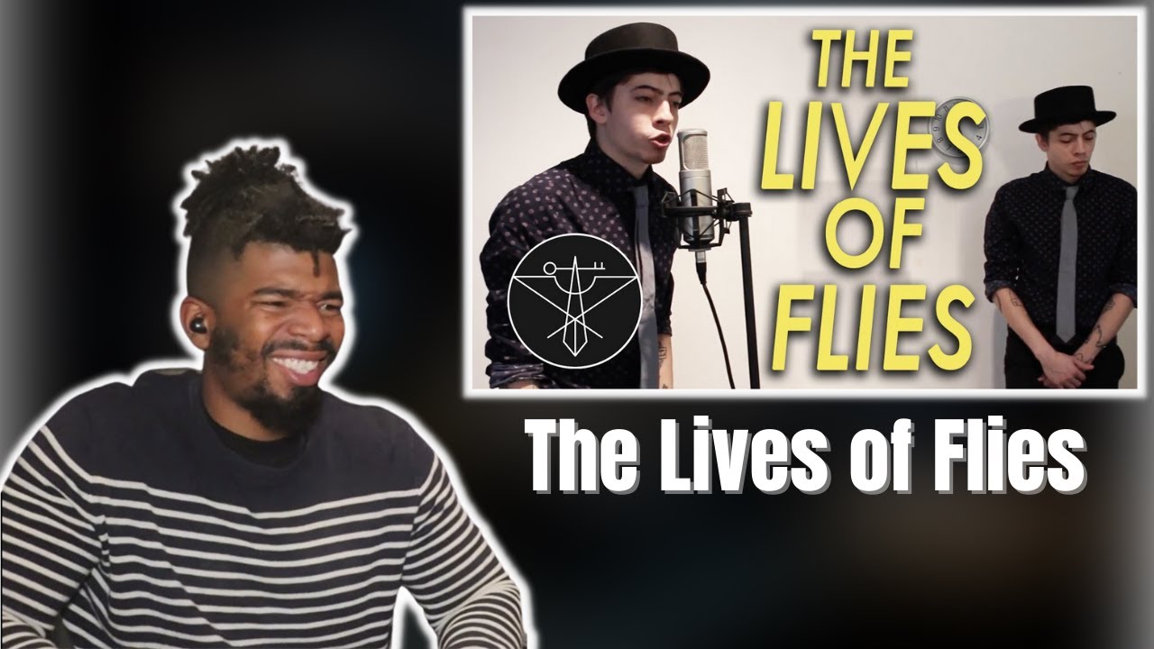(DTN Reacts) The Lives of Flies - Rusty Cage