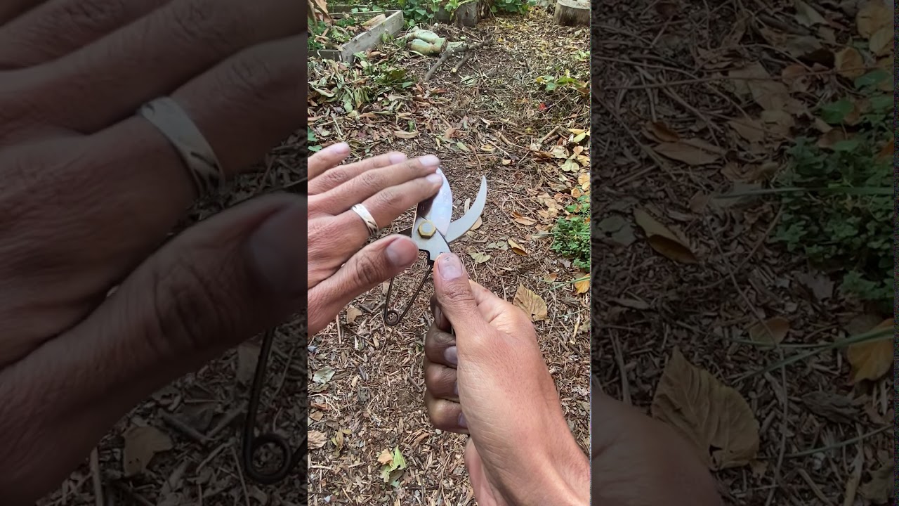 Ultimate Pruning Tools