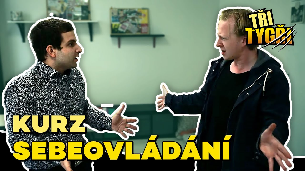 TŘI TYGŘI | Kurz sebeovl&aacute;d&aacute;n&iacute;
