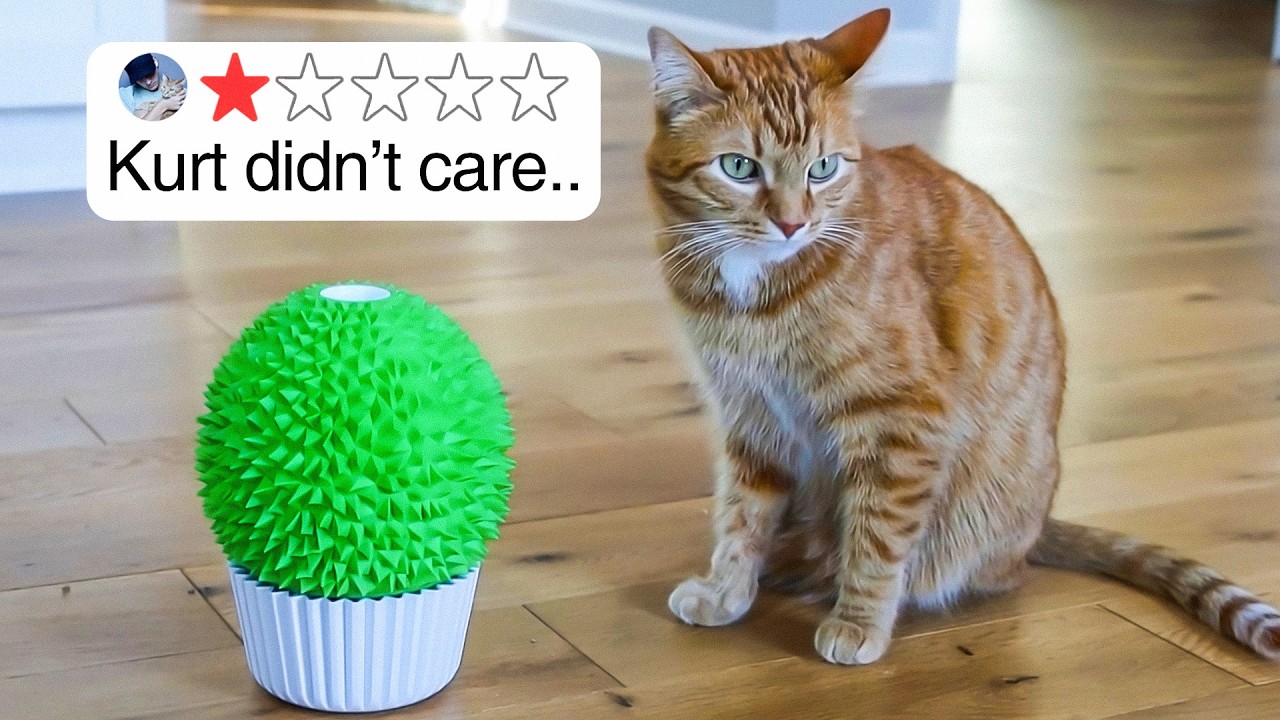 Do These &lsquo;Life Changing' Cat Products Actually Work?