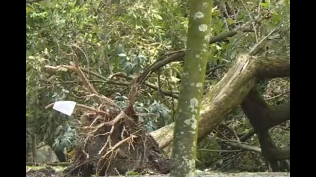 Las increíbles imágenes que dejó el fuerte aguacero que cayó en Medellín