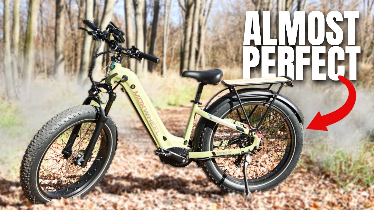 Is The Mokwheel Basalt 2.0 Worth It?