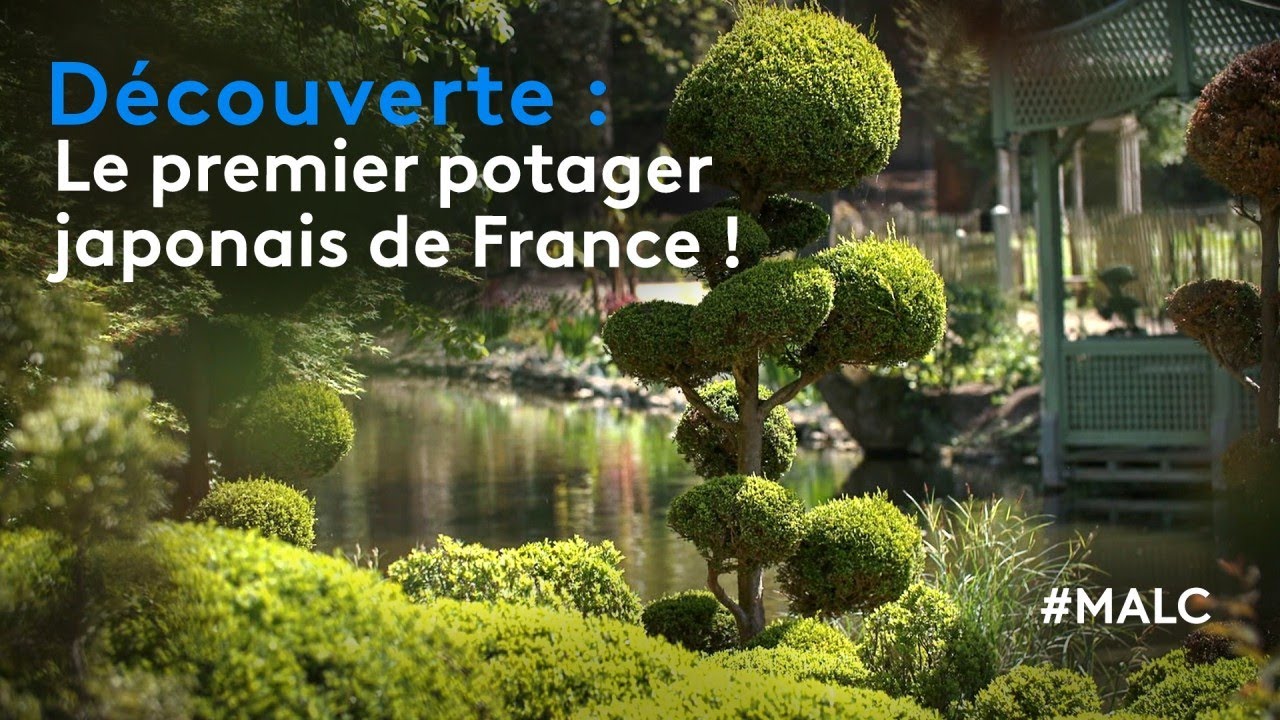 Découverte : le premier potager japonais de France !