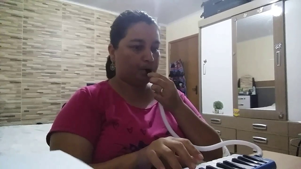 Novo Instrumento Musical