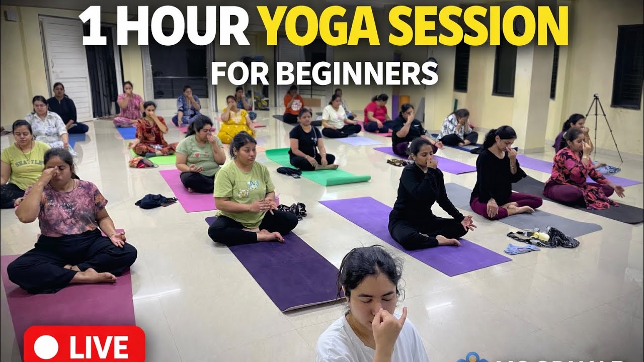 Start Your Yoga Journey Today | 1 Hour Live Beginner Yoga