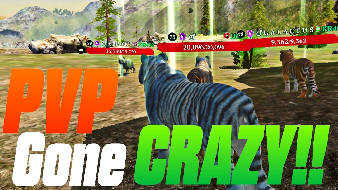 Level 75+ PVP - Where the REAL CHAOS Begins