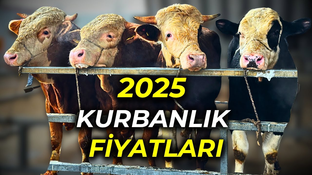 BU PAZARDA YOK YOK | HEM UCUZ HEM KALİTELİ TEK HAYVAN PAZARI