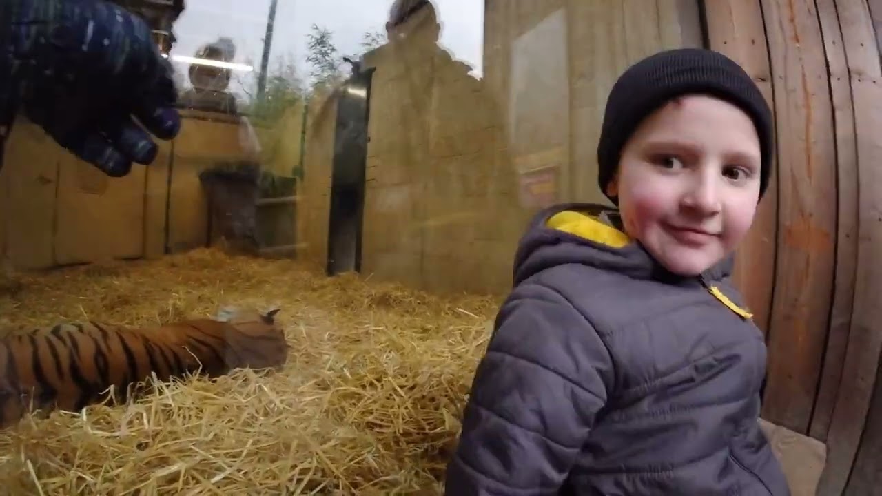 Rory meeting Capybaras