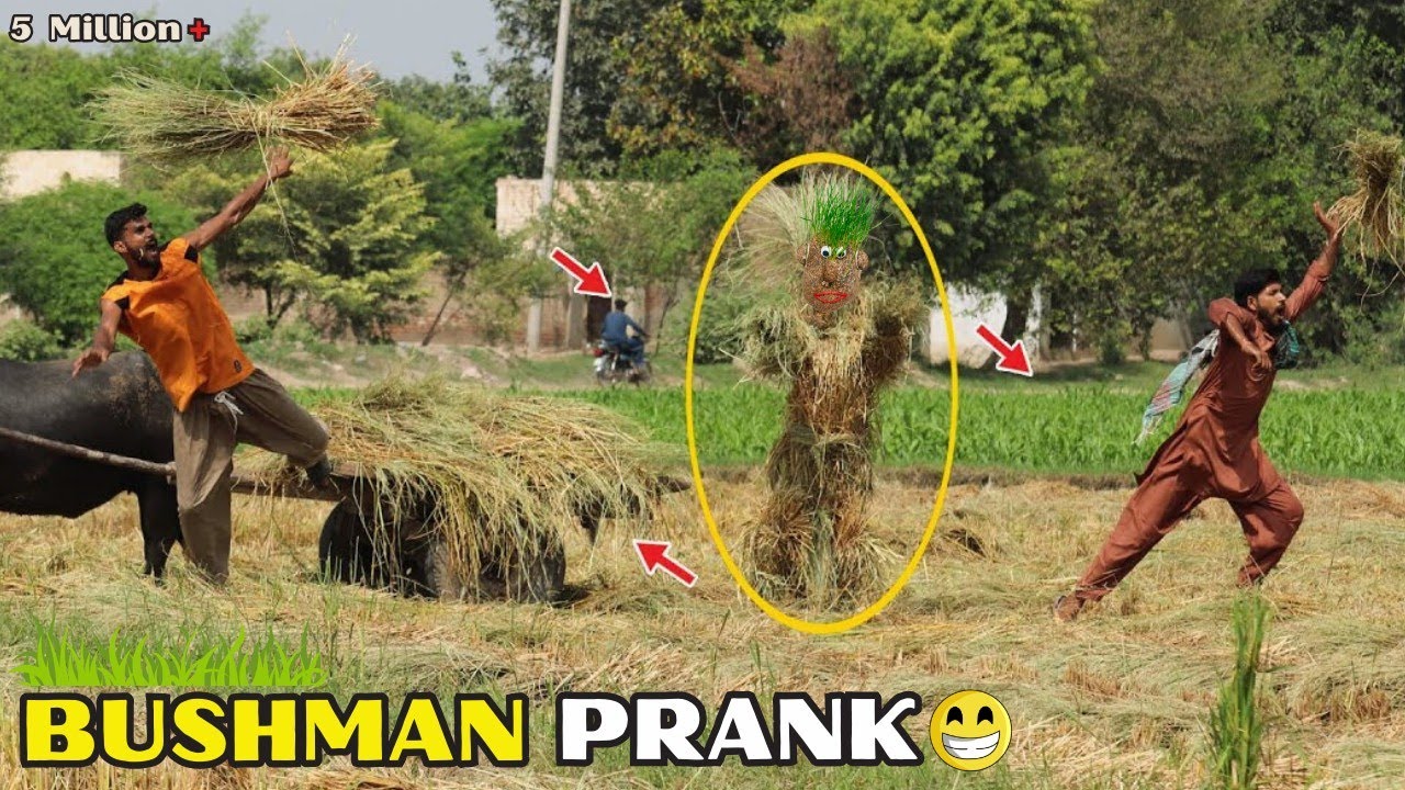 Ultimate Top Funnies: BUSHMAN PRANK Gone Wrong Best Fails Video😃😂