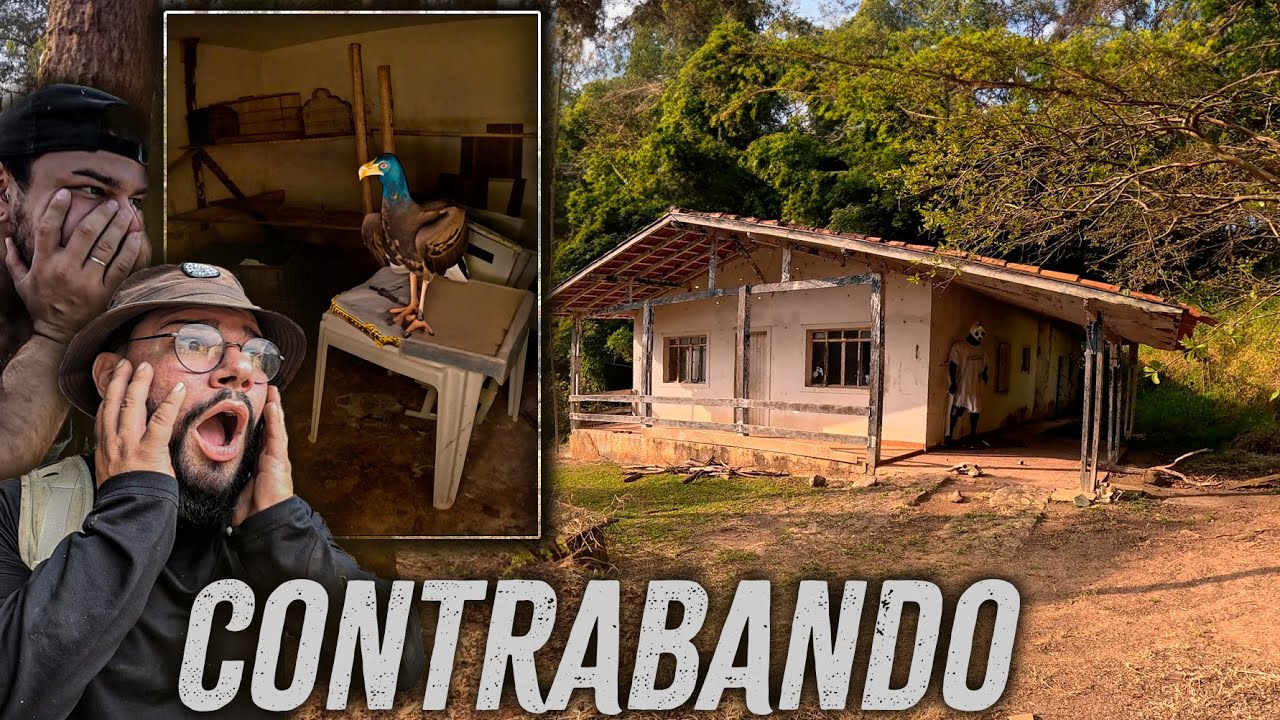 DESCOBRIMOS UM SÍTIO ESCONDIDO NA MATA COM VESTÍGIOS DE ALGO ILEGAL – MOMENTO TENSO!