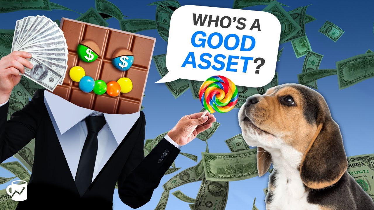 The real reason your vet bill is so high