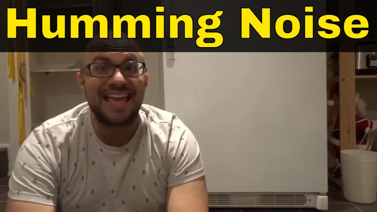 Холодильник издает громкий гудящий звук — самые простые способы устранения