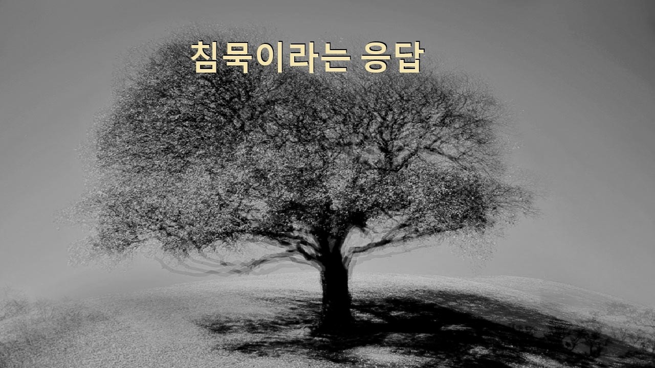 산은 왜 아무 말도 하지 않을까(Why Do Mountains Say Nothing?)