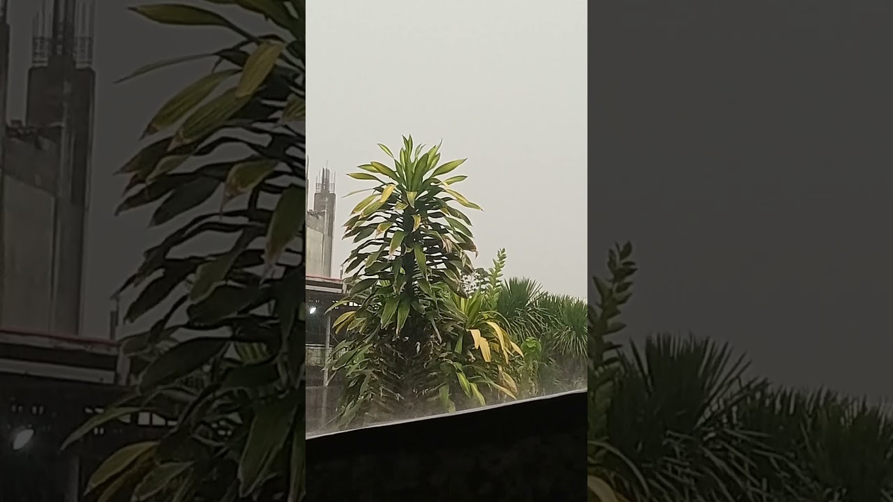 Cuddle weather in Midsayap 😍🌦️