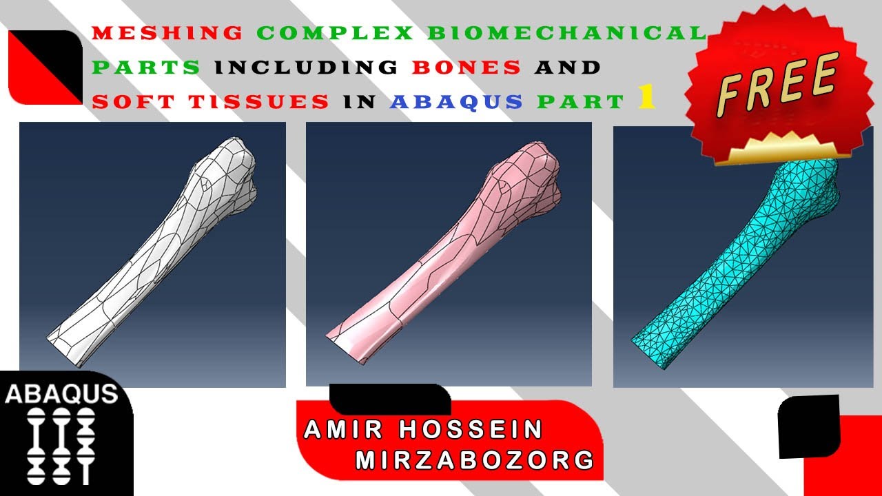 Meshing Complex Biomechanical Parts including Bones and Soft Tissues in Abaqus part 1