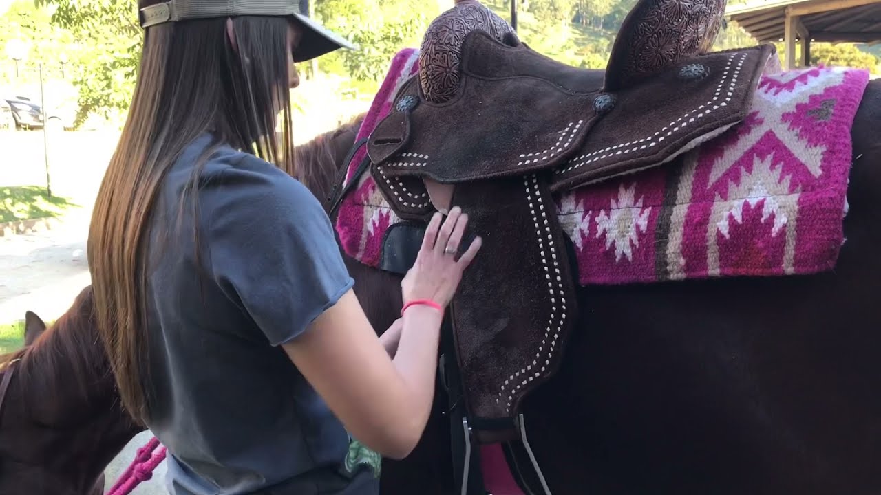 Como Selar um Cavalo na Prática 🐴