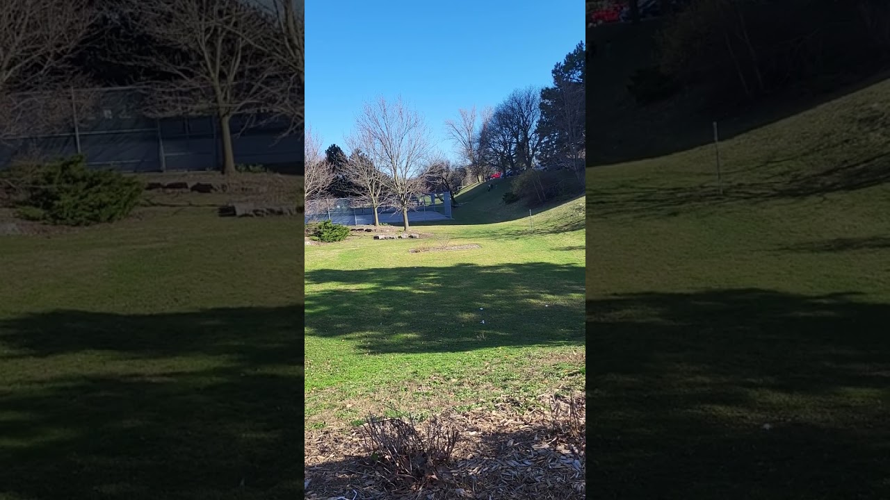 A view at the park     ##Scientology  #Kids cannot consent  #Oureyesseeyou