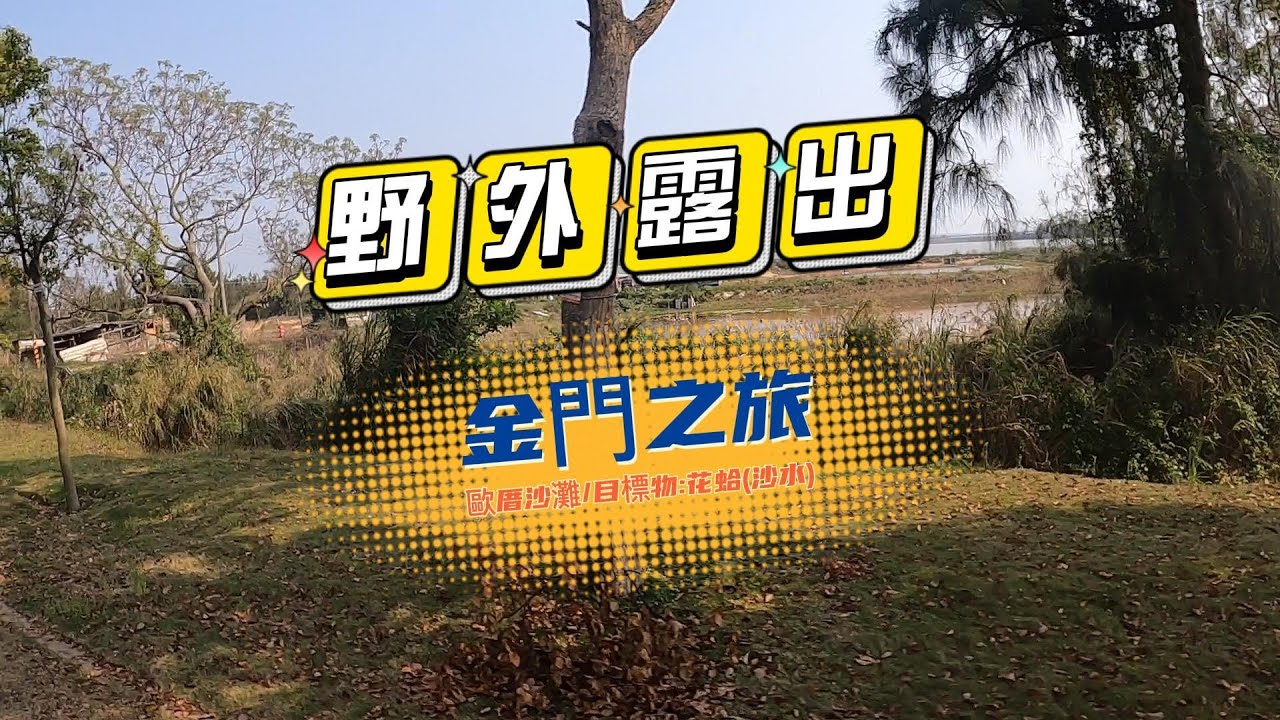 野外露出系列/金門之旅/沙灘系列/花蛤/好吃好吃