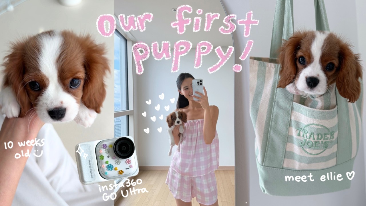 у нас появился щенок!!! 🐶🎀💕