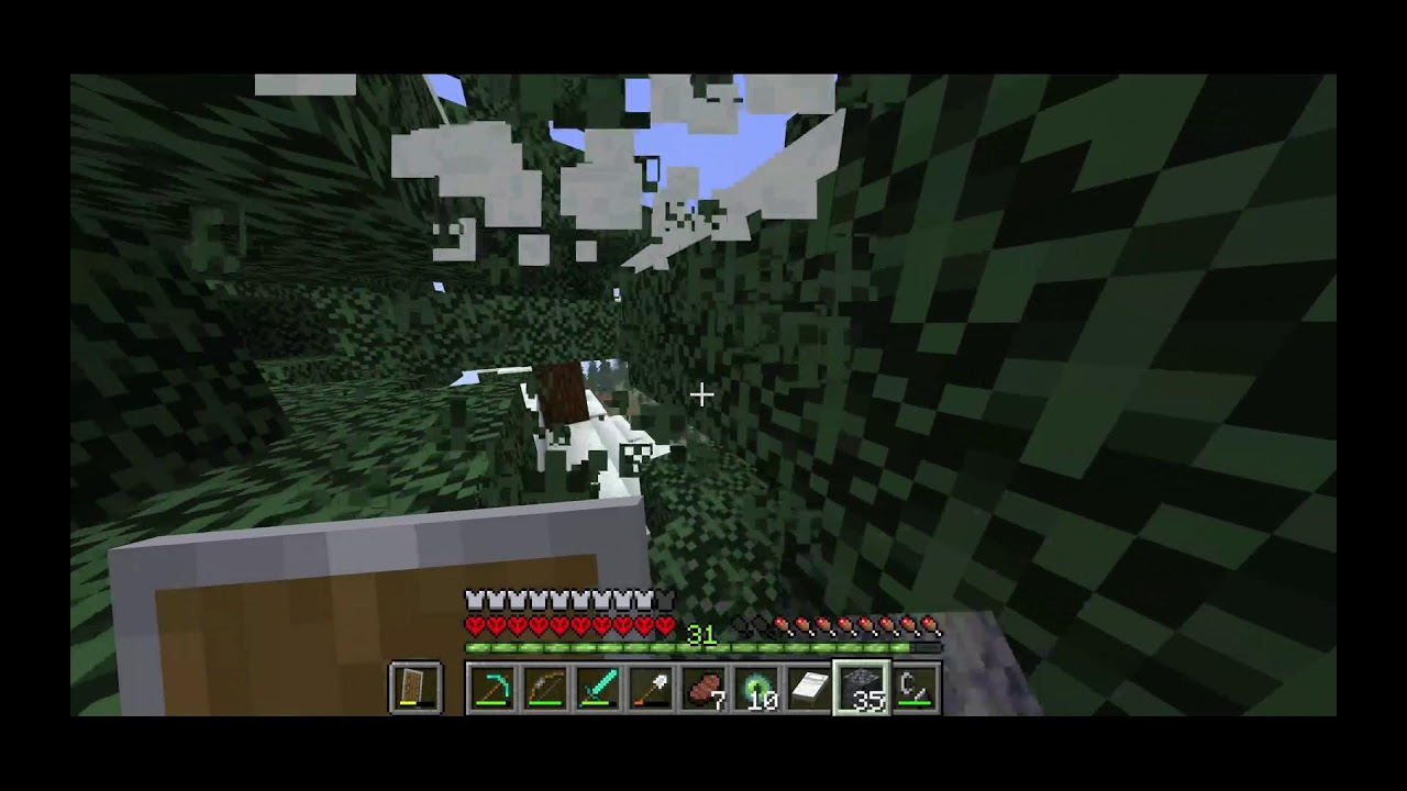 minecraft hardcore attempt #20
