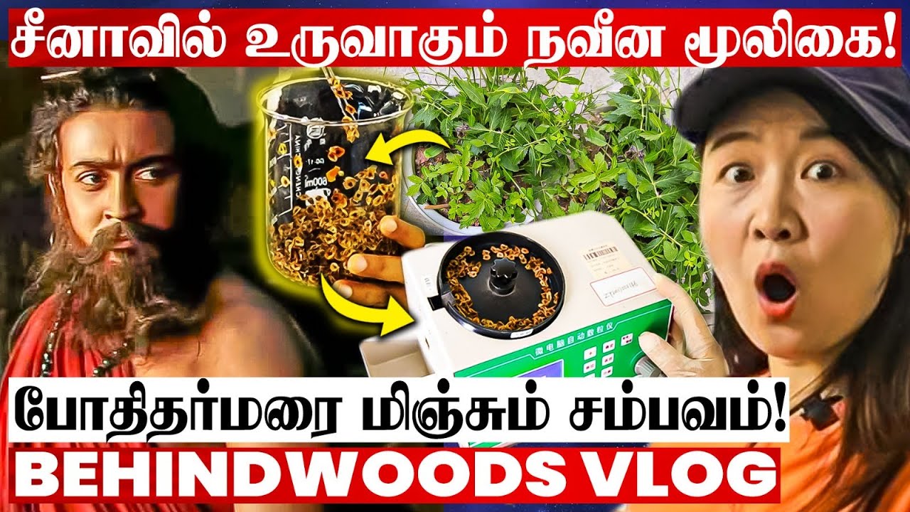 அழிந்து போன மூலிகையை..😯மீண்டும் உருவாக்கும் சீனா..!😯 மிரளவைக்கும் பேட்டி