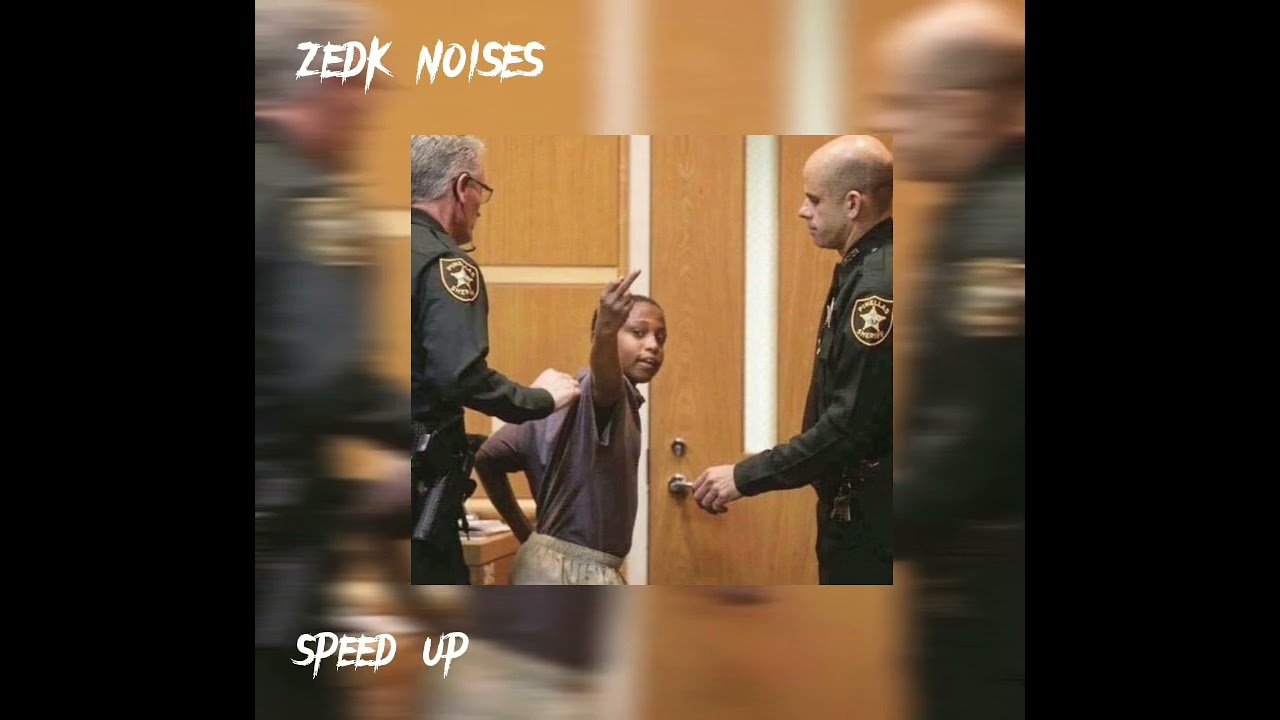 zedk noises  (speed up )