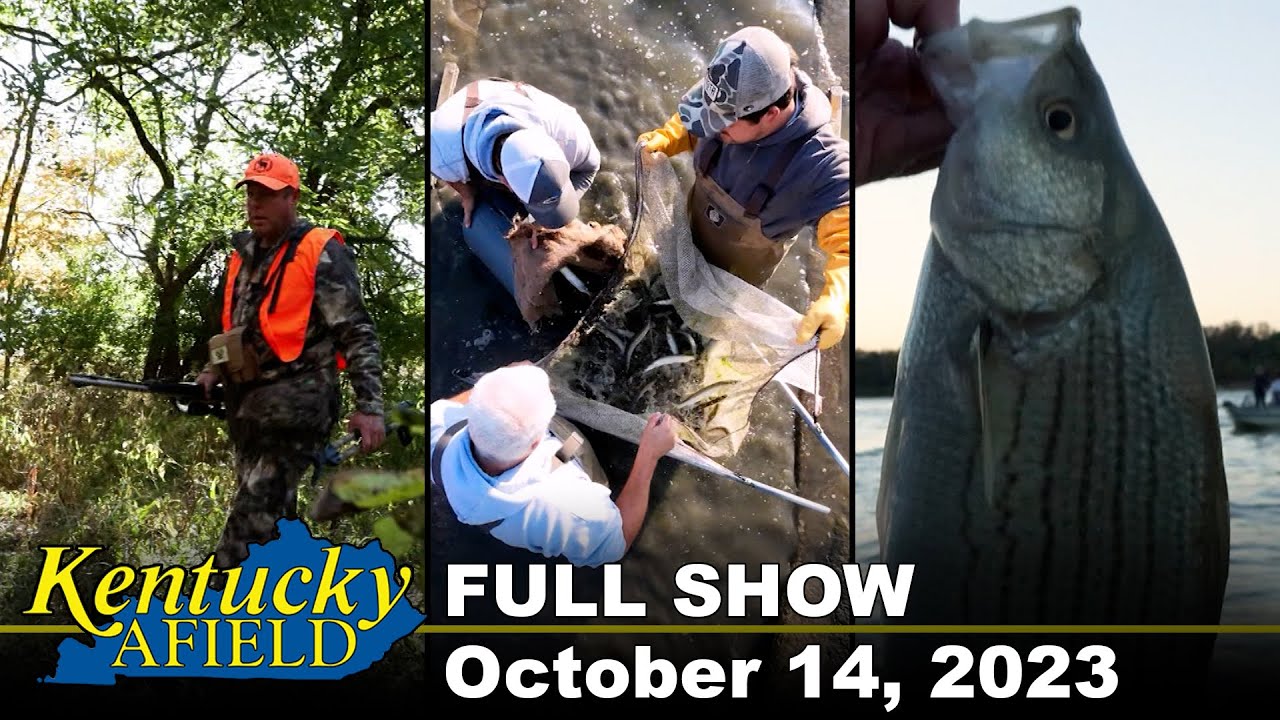 October 14, 2023 Full Show - Making Muskie, Muzzleloader Deer Hunt, Ohio River Hybrid Striped Bass