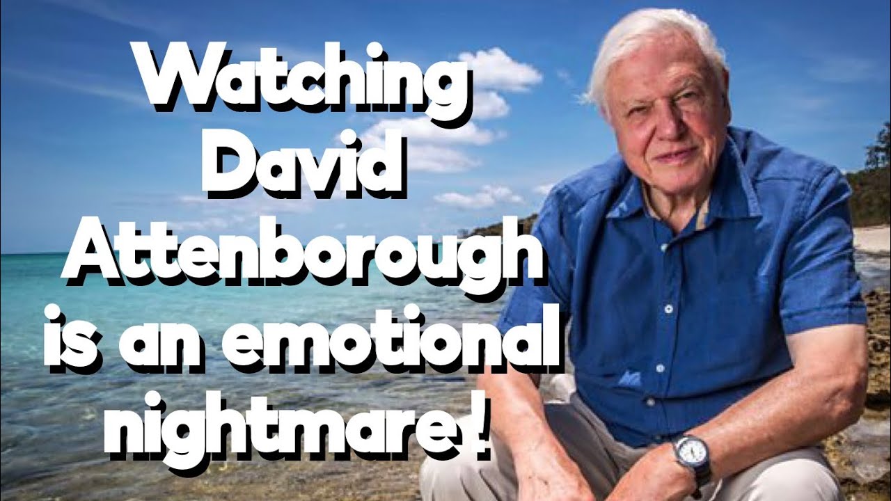 Watching David Attenborough is an emotional nightmare!