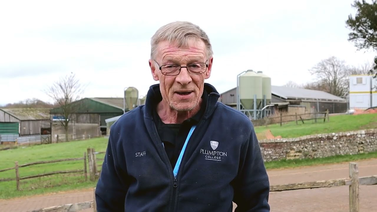 Meet our Pig Manager | Lambing Season