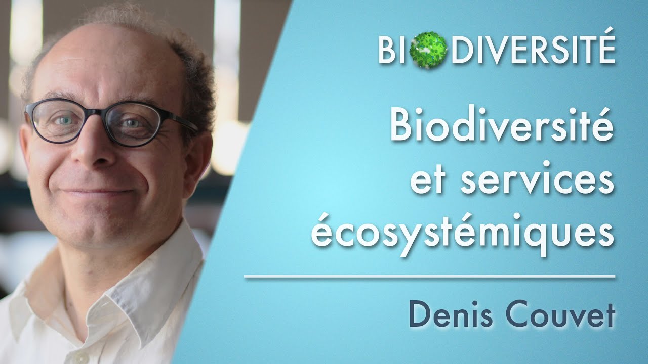 Biodiversité et services écosystémiques